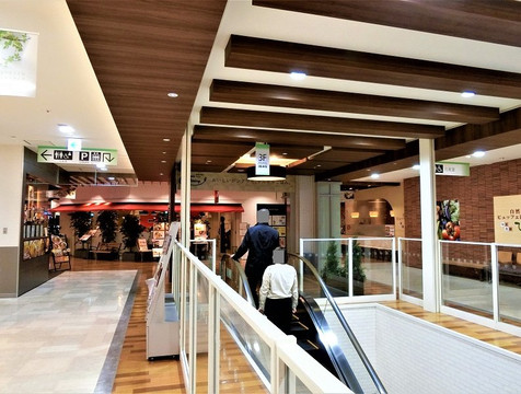 Maruyama Class-札幌市必去景点