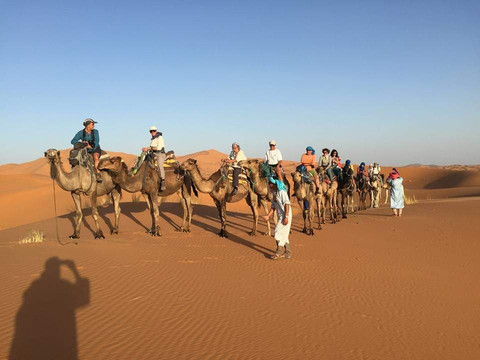 Atlas Trips Tours-马拉喀什必去景点