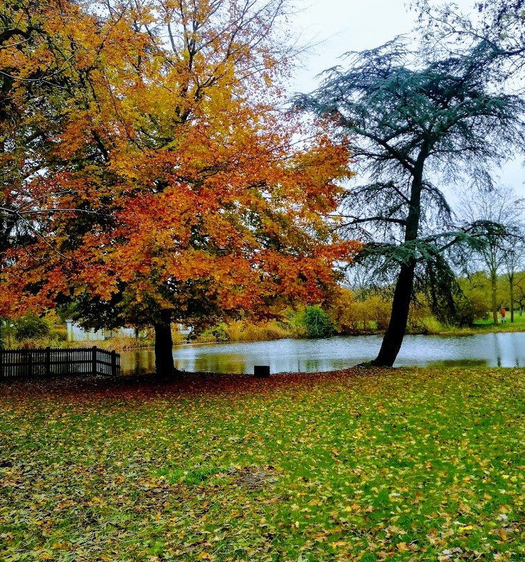 Landgoed Bredius Park-Woerden必去景点
