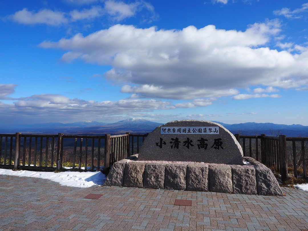 Koshimizu Pass景点图片