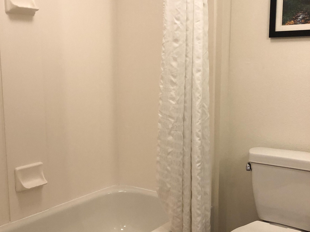 Comfort Suites Downtown主图