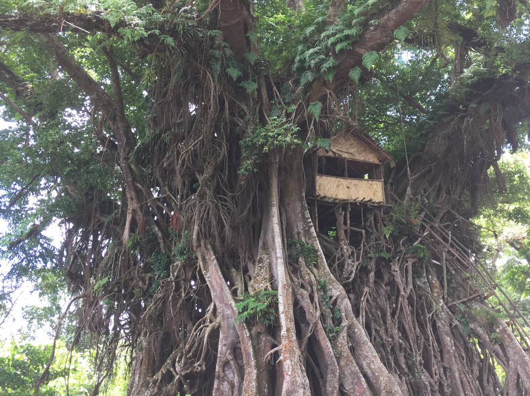 Yakel Village-塔纳岛必去景点