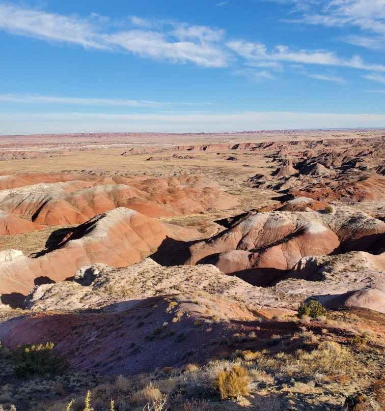 Painted Desert Rim Trail-石化林国家公园必去景点