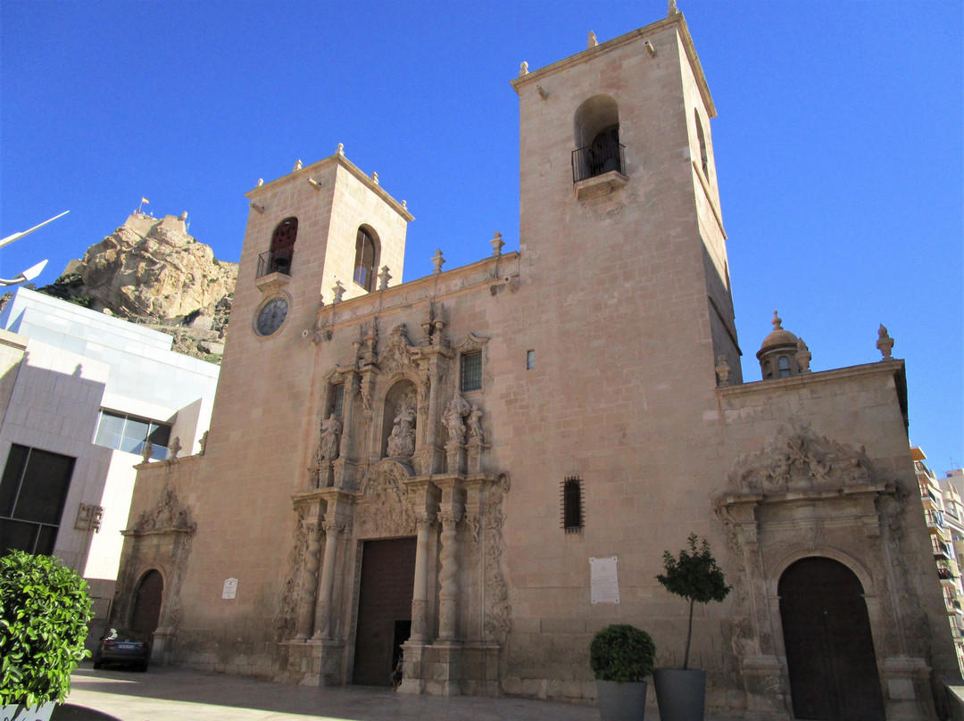Basilica Santa Maria景点图片