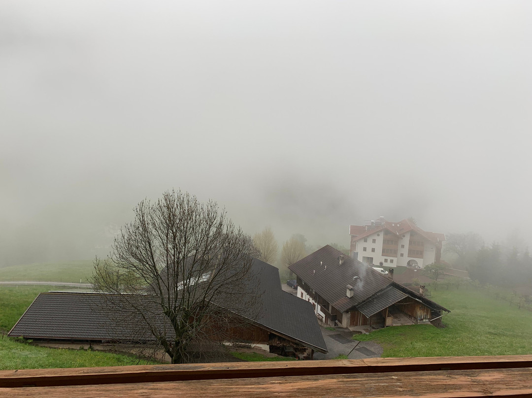 Residence Toeglhof主图