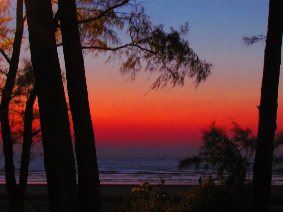 Golden Swan Beach Resort主图