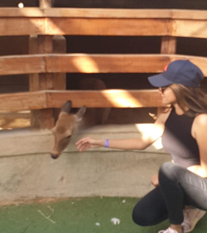 Emirates Park Zoo & Resort主图