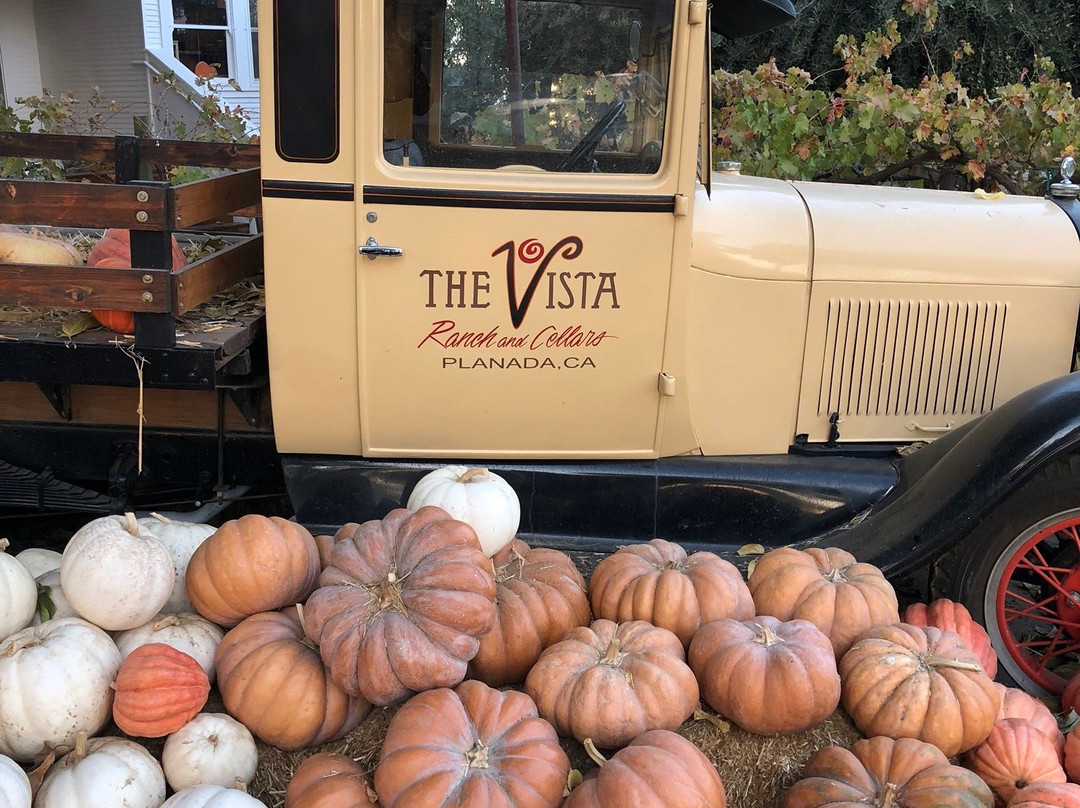 Vista Ranch-默塞德必去景点