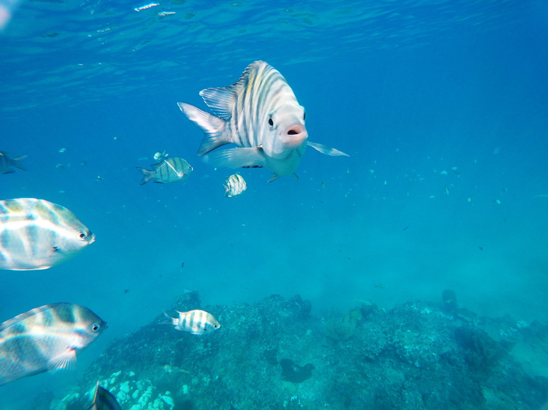 Eric Tours International-苏莎亚必去景点
