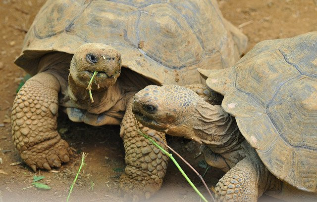 Ecuador and Galapagos Insiders景点图片