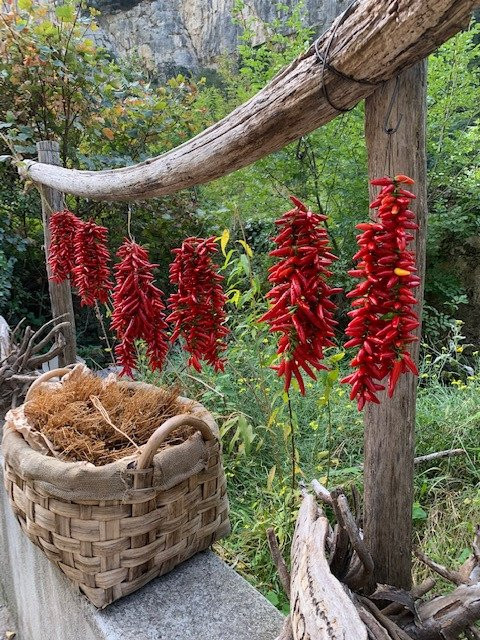Zia Lucy-波西塔诺必去景点