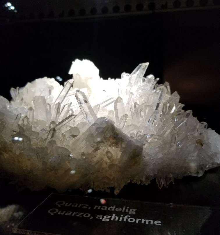 Museo Mineralogico Tiso景点图片