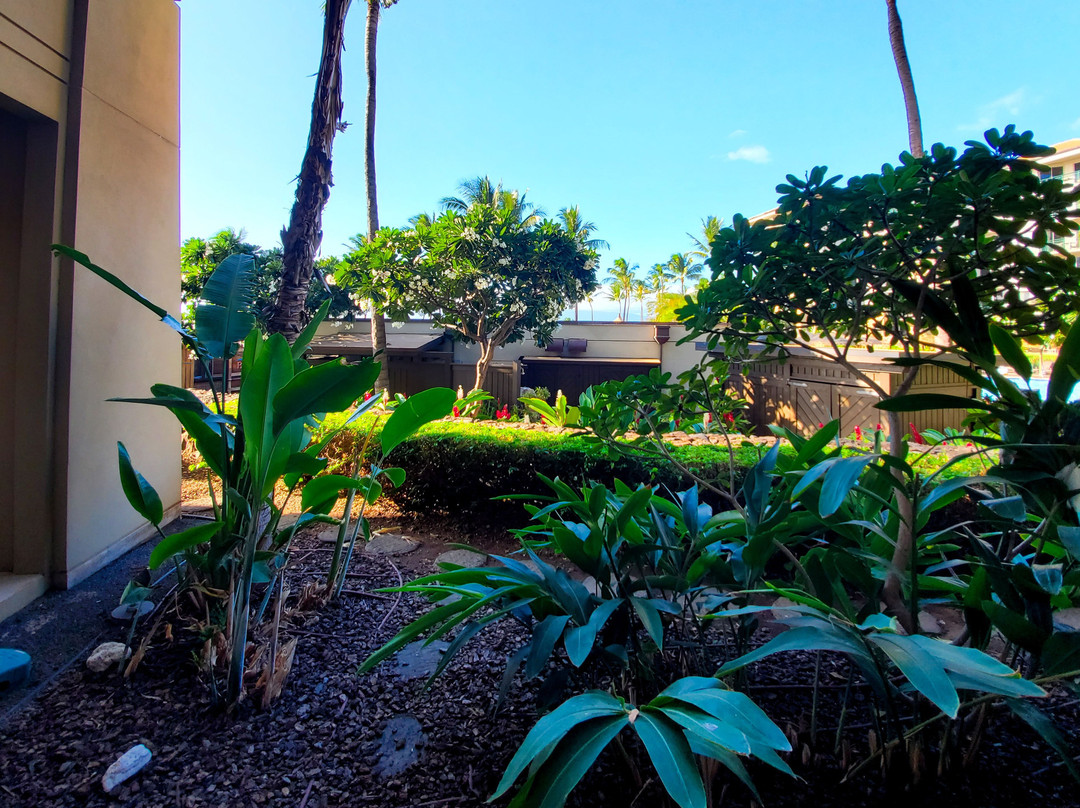 威斯汀卡纳帕利海洋别墅度假酒店主图