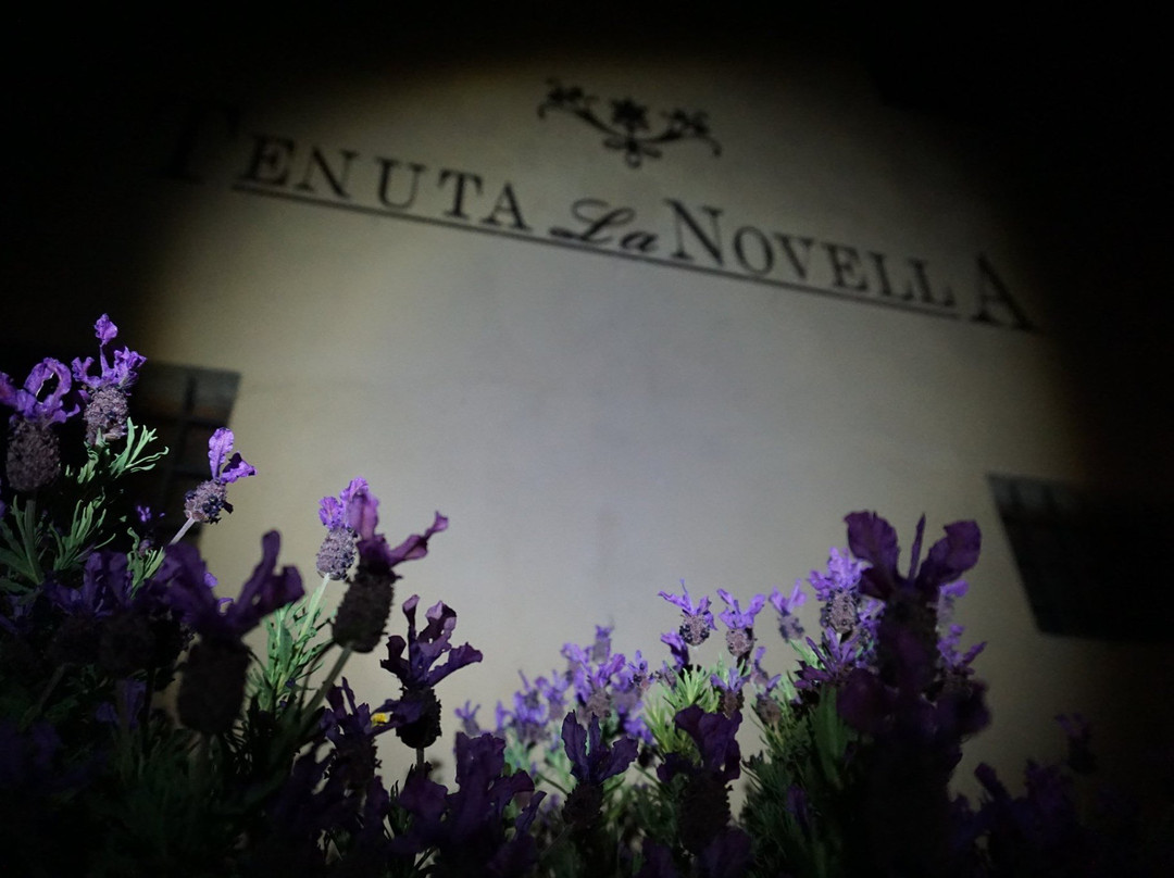 Tenuta La Novella-San Polo in Chianti必去景点