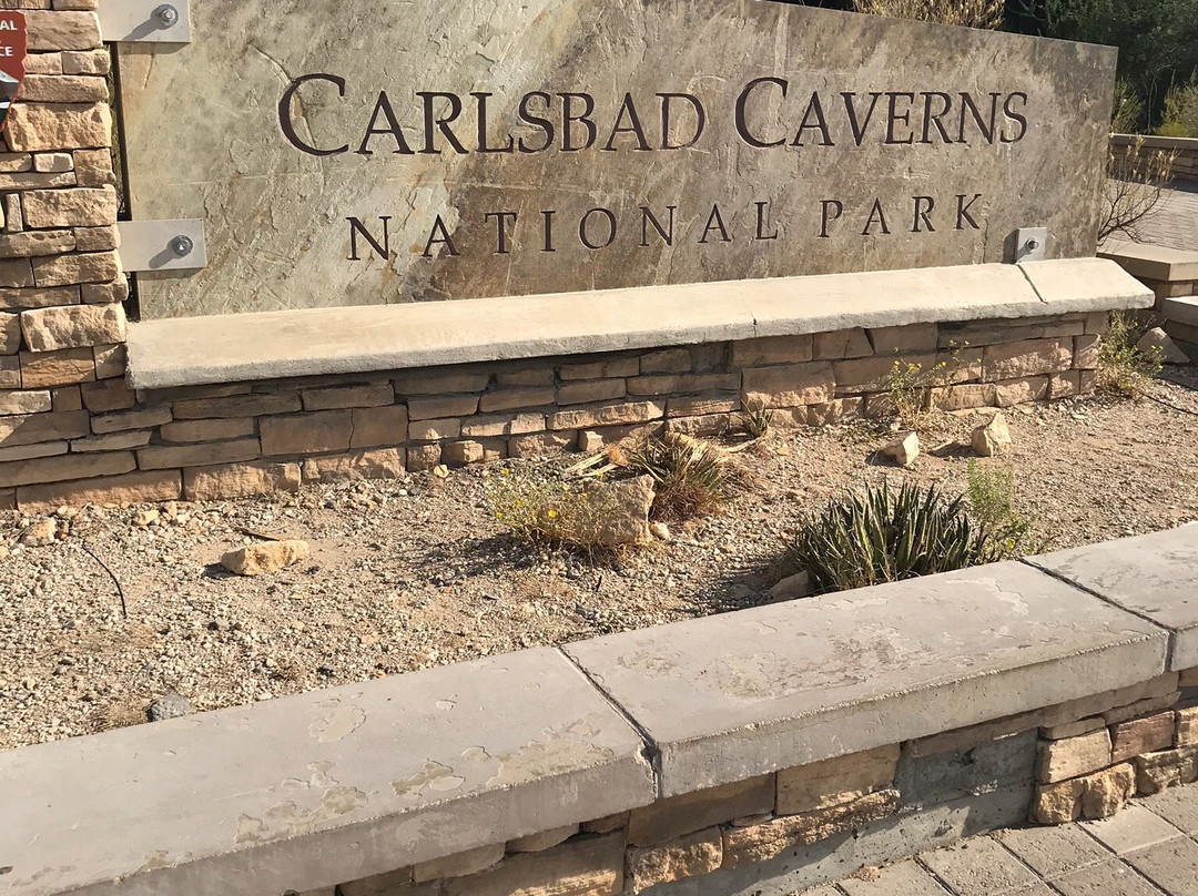 2024年5月Bat Flight Program in Carlsbad Caverns National Park景点攻略Bat