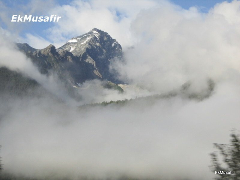 Roger's Pass Summit景点图片