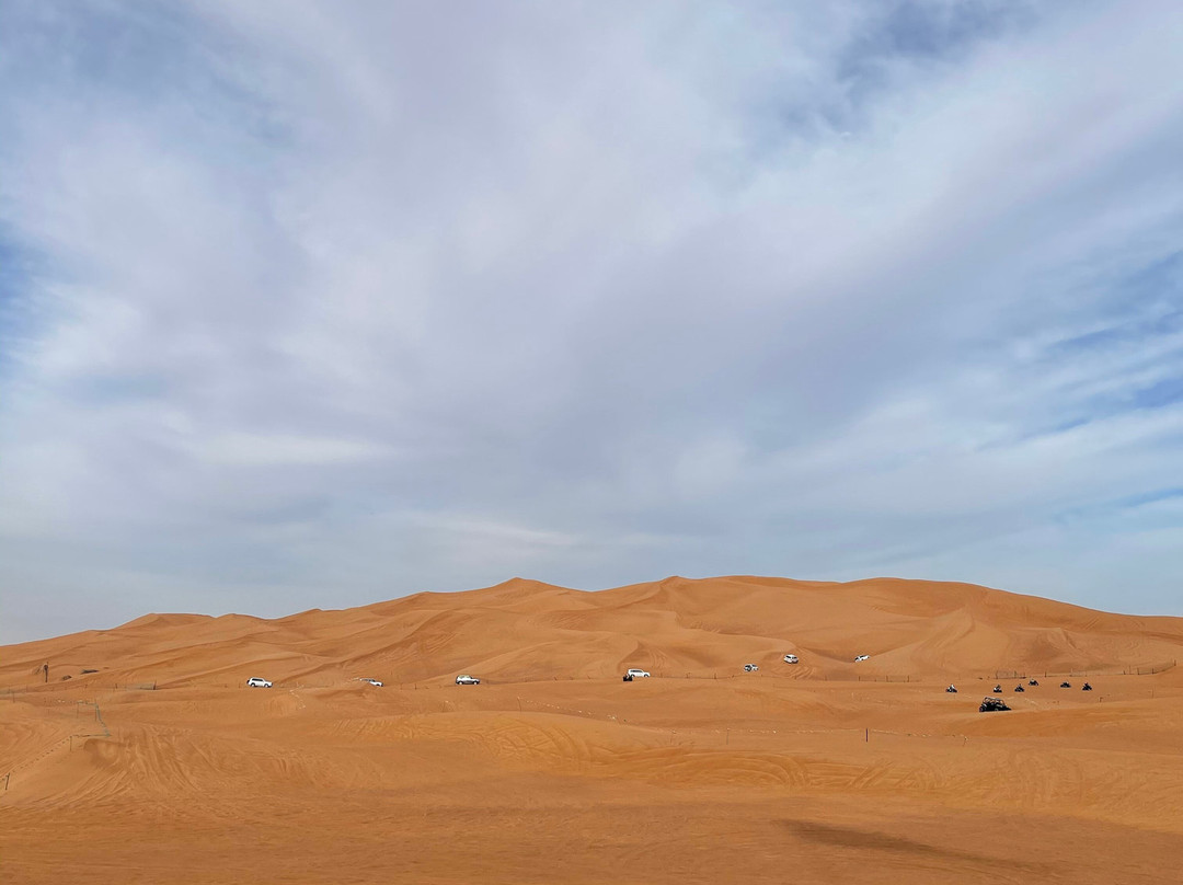 VIP Desert Tours景点图片
