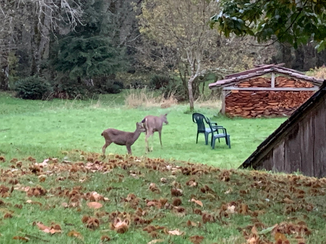 The Inn at Lucky Mud主图