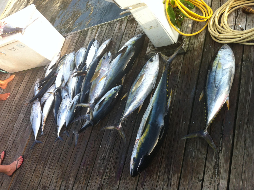 Double Header Sportfishing景点图片