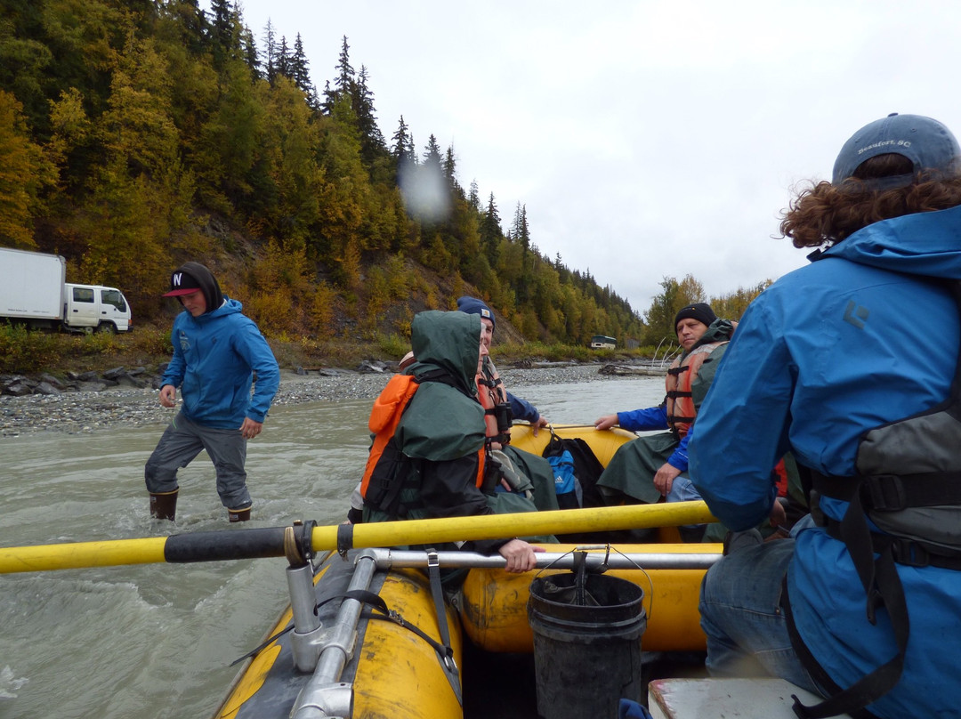 Chilkat Bald Eagle Preserve-海恩斯必去景点