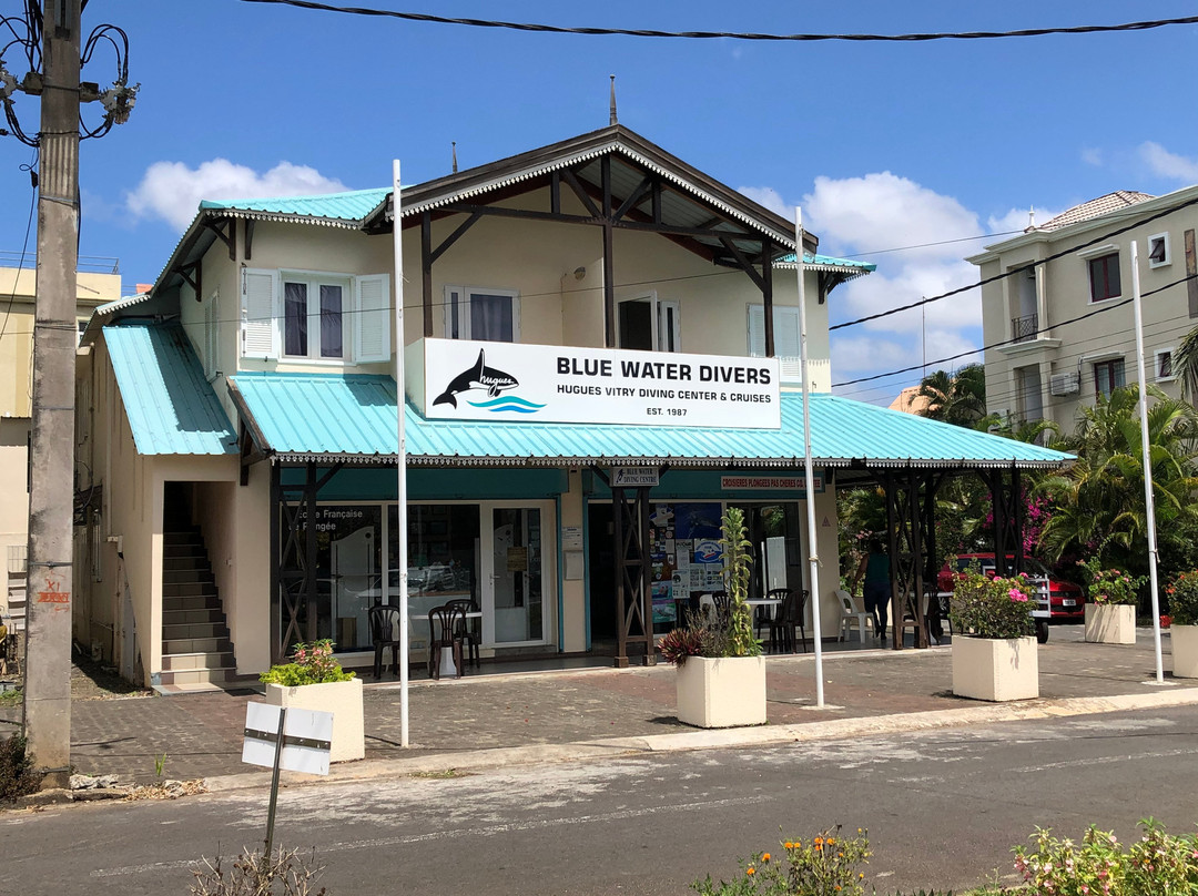 Blue Water Diving Centre-卓欧毕雪必去景点