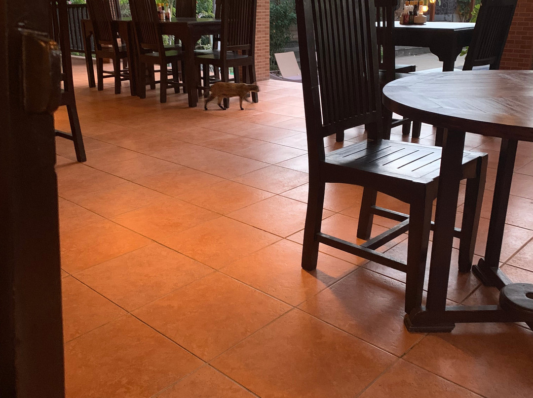 自由潜水度假村主图