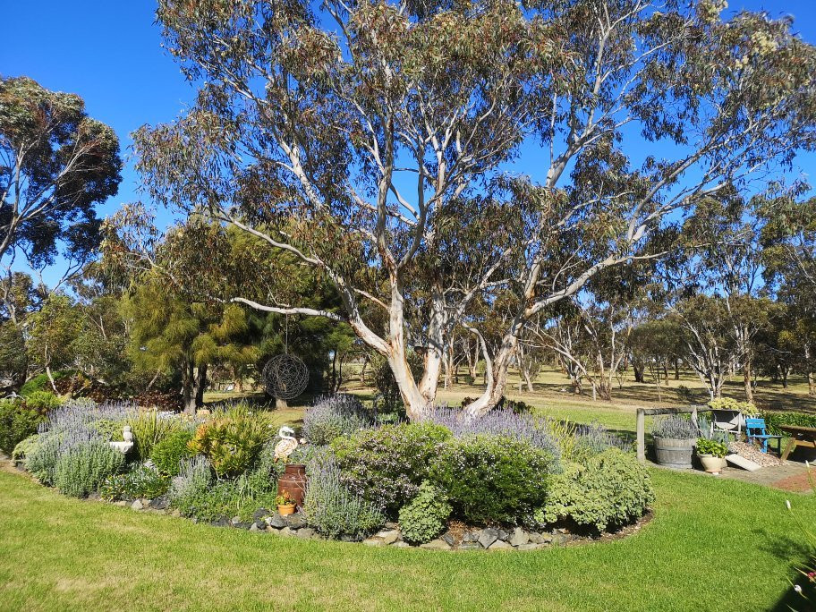 Austiny Bed and Breakfast Accommodation主图