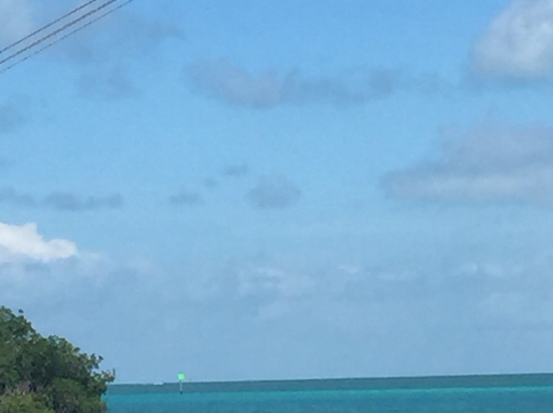 The Kayak Shack-伊斯拉摩拉达必去景点