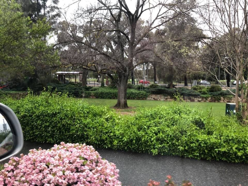 Veale Gardens景点图片