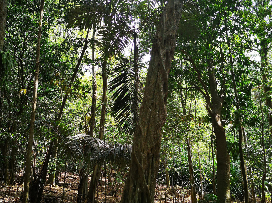 Territory Day Park-圣诞岛必去景点