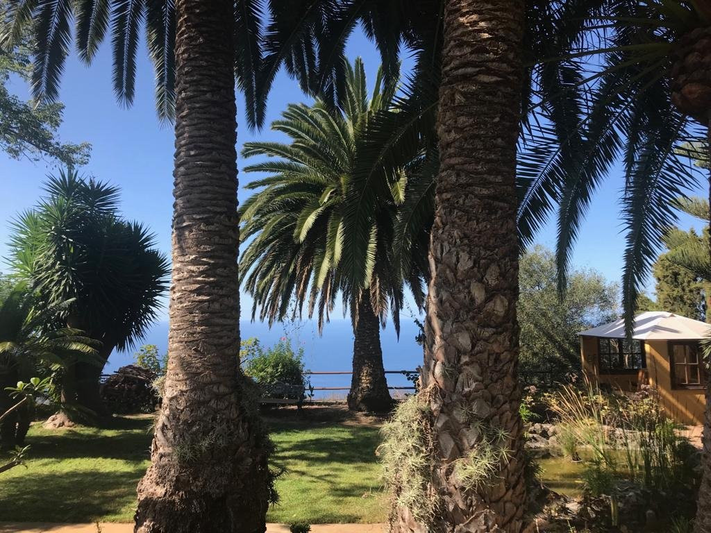 Finca Casa Vieja主图