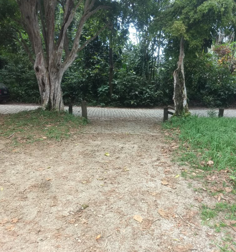 Ruinas da Lagoinha-乌巴图巴必去景点