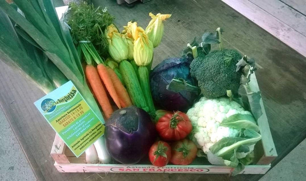 Azienda Agricola La Borgheisa-Favria必去景点