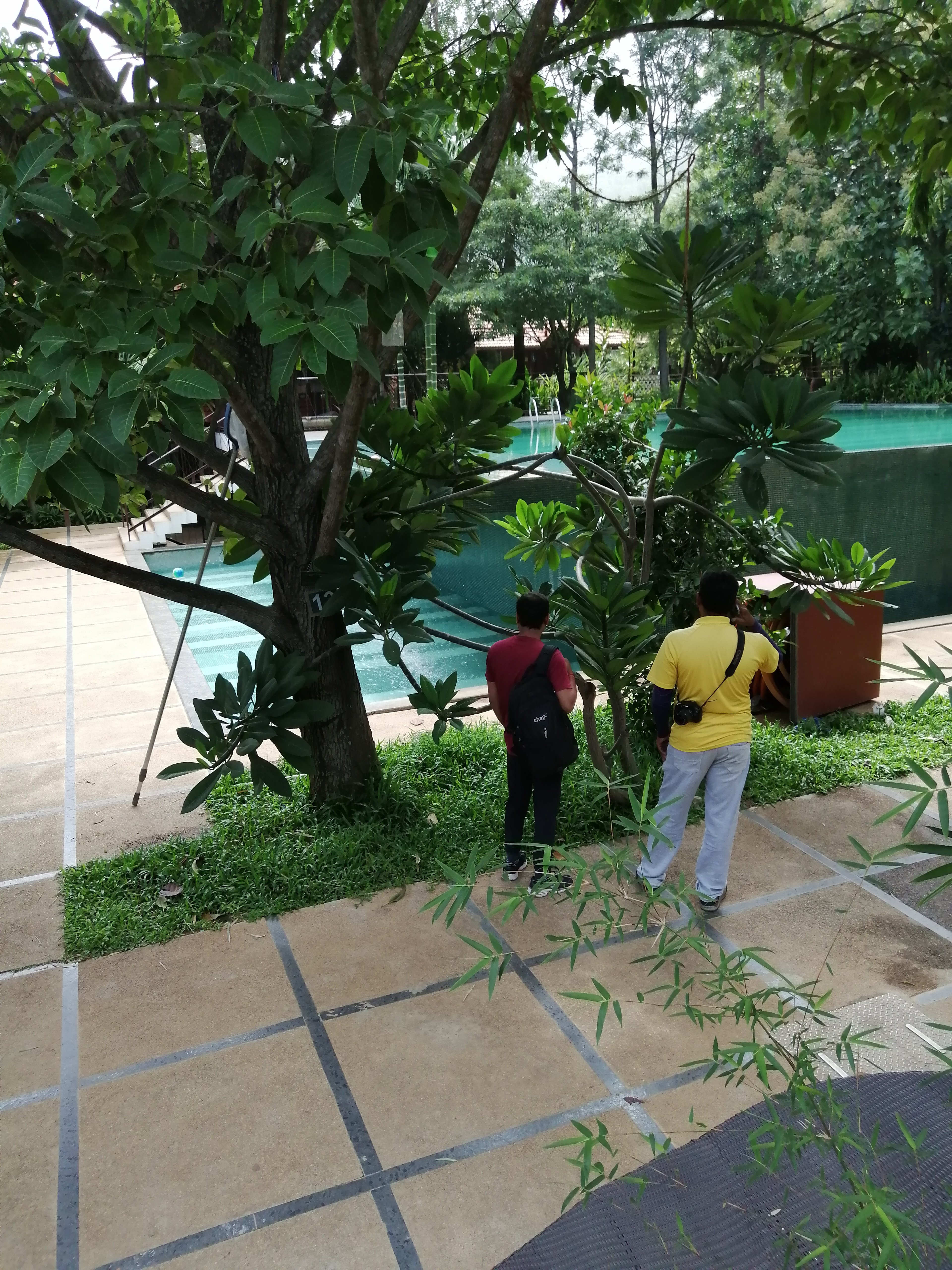 Discovery Village at Nandi Hills-泳池