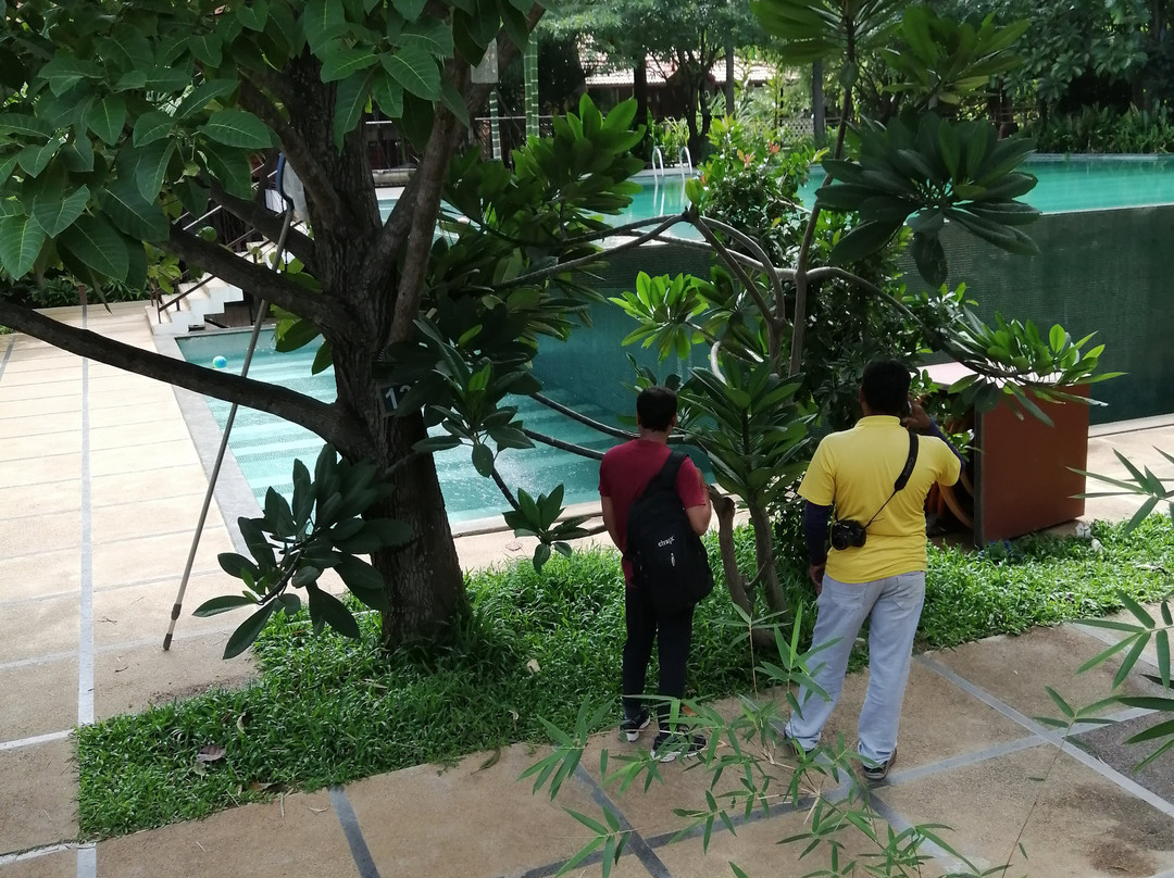 Discovery Village at Nandi Hills主图