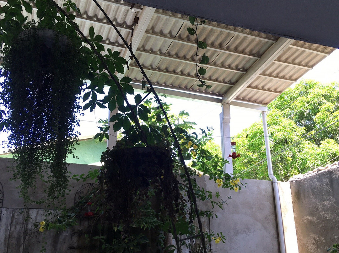 Casa Colibri Palomino主图