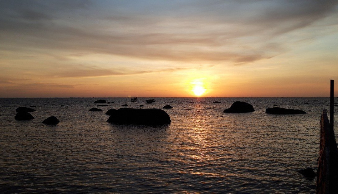 Cay Sao Phu Quoc主图