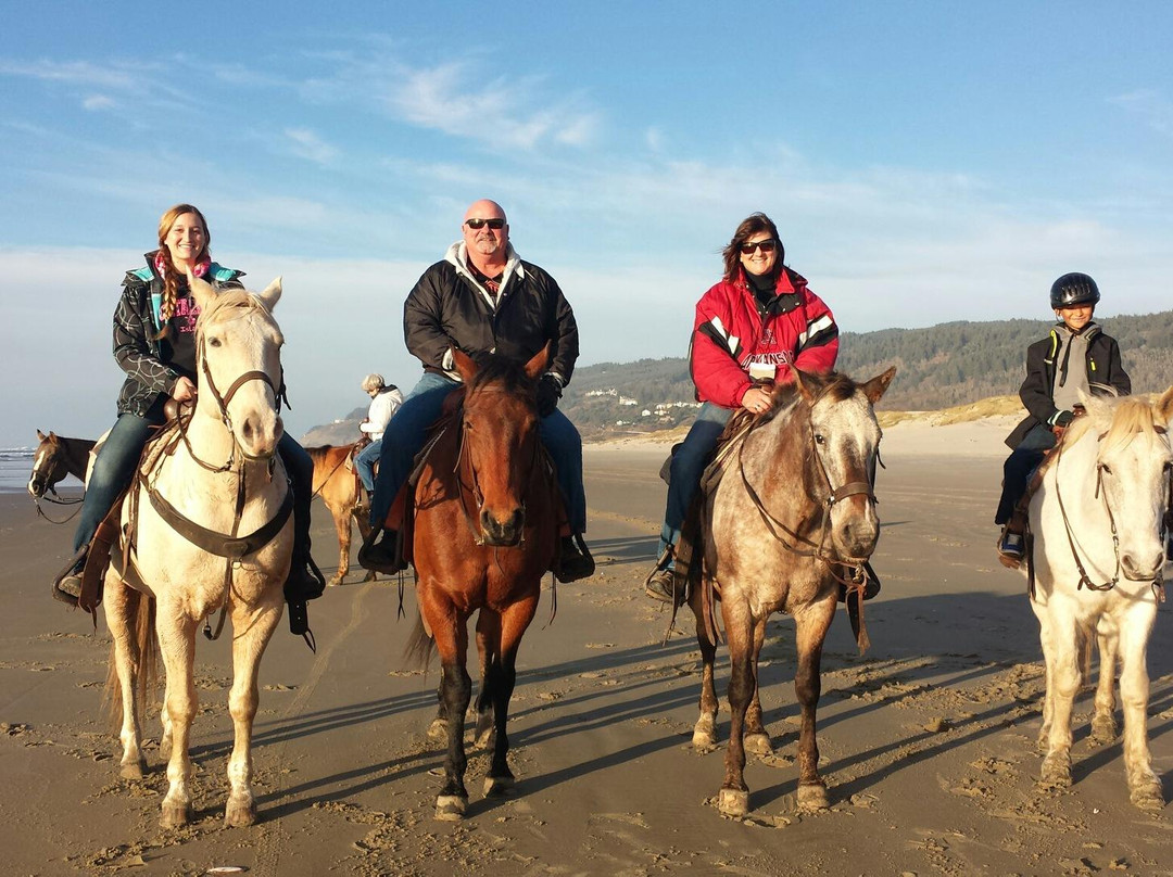 C & M Stables-弗洛伦斯必去景点