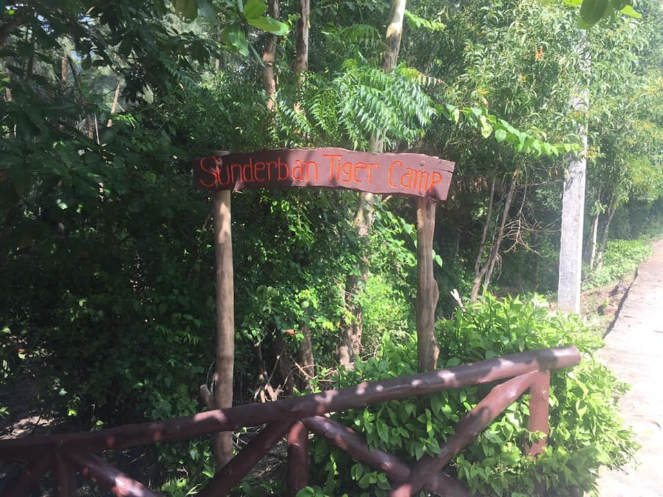 Sunderban Tiger Camp主图