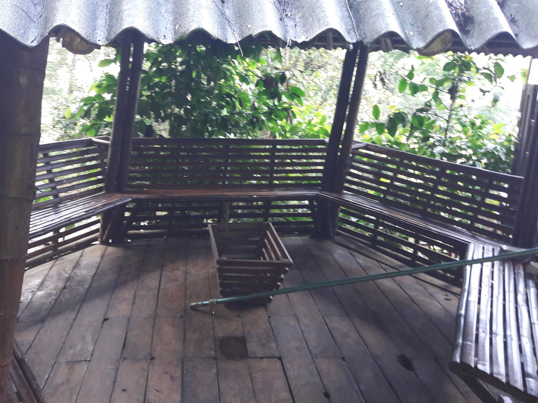 Vythiri Village Resort主图