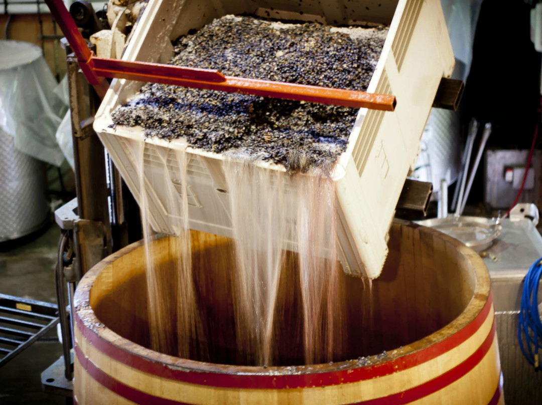 Oregon Vine2Wine Tours-尤金必去景点