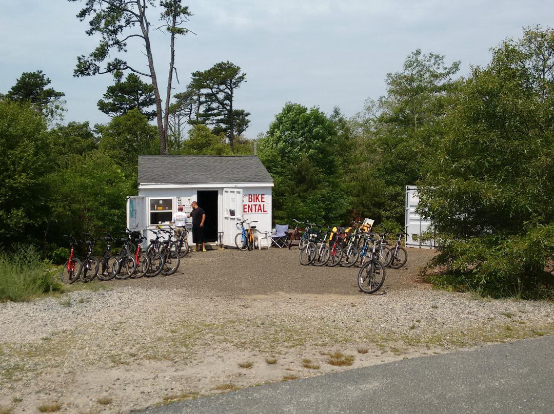Barbara's Bike Shop景点图片