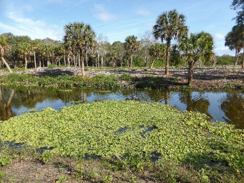 Red Bug Slough Preserve-萨拉索塔必去景点