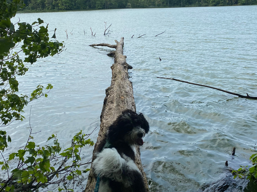 Sunset Rock State Park