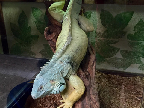 Serpentarium-洛迪必去景点