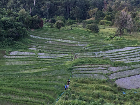 Inchai Trekking Tours-清迈必去景点