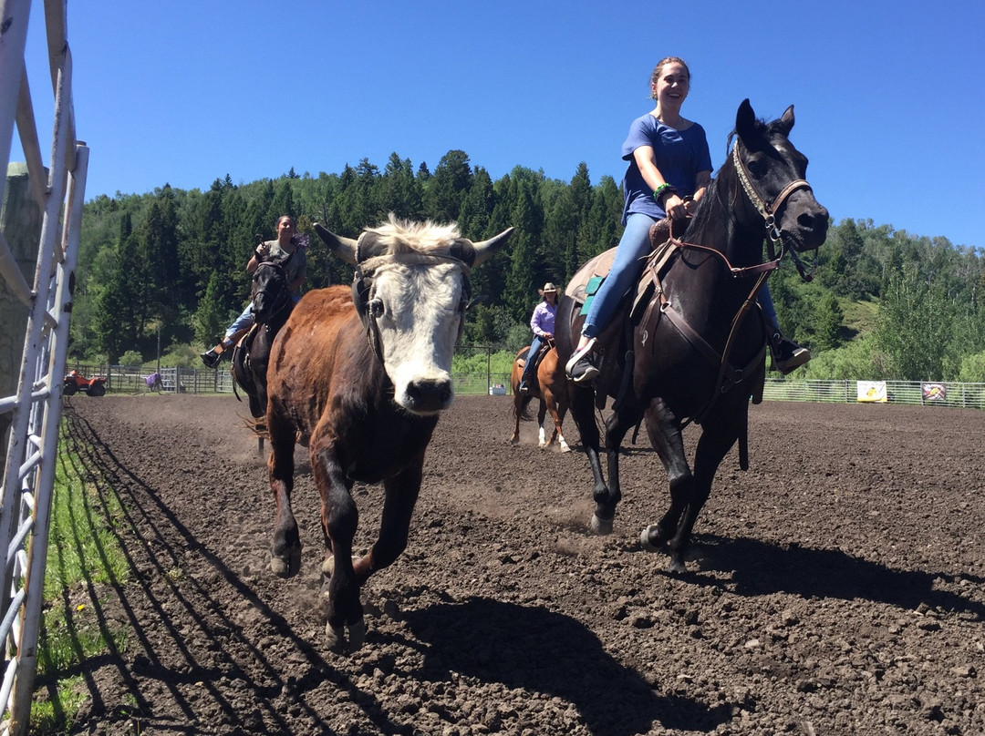 Introduction To Rodeo-威尔逊必去景点