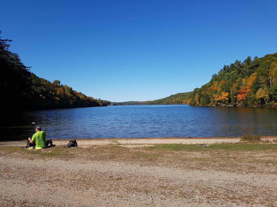 Lusk Cave-Chelsea必去景点