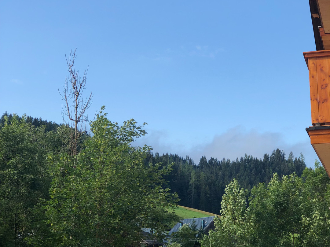 Wellness- Und Aparthotel Dachsteinresort主图