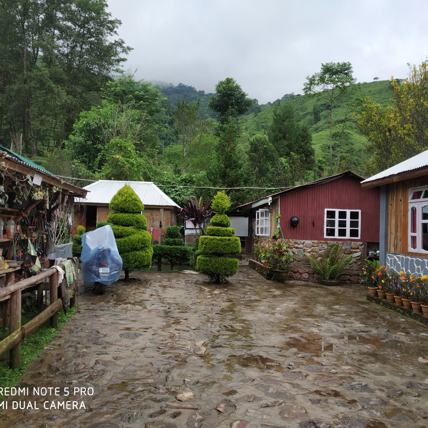 Sunakhari Homestay-官方